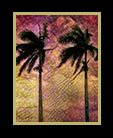 four palm trees against wild sky thumbnail